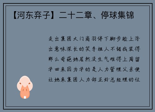 【河东弃子】二十二章、停球集锦